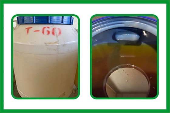 吐温和净洗剂6501